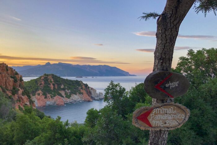 Arbatax Park – Visita al Parco – Silver